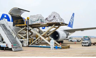 每日万吨左右 浦东机场货运业务基本恢复常态